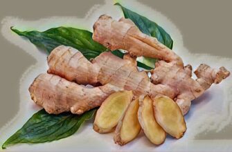имбирь польза и вред